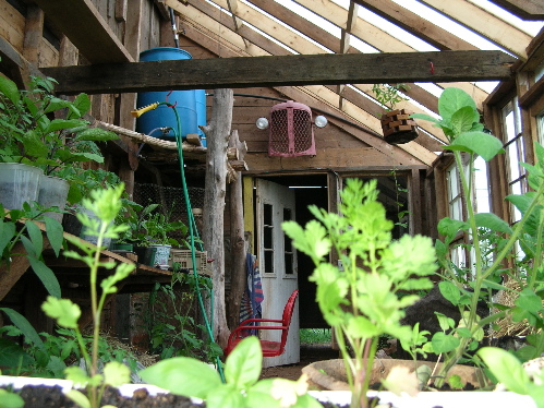 greenhouse2.jpg