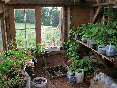 greenhouse3.jpg